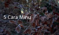 5 Cara Minum Air Kelapa untuk Menurunkan Berat Badan