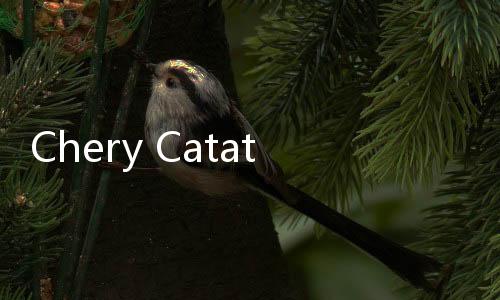 Chery Catat Penjualan 1 Juta Secara Global dalam 5 Bulan, Indonesia Menyumbang 1.000 Unit