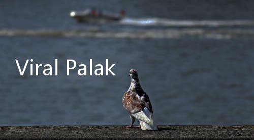 Viral Palak Pekerja Provider Internet di Cengkareng Rp 1,5 Juta, 2 Oknum Ormas Dibekuk